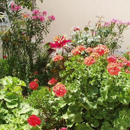 With Parking Space Povljana, Pag - 228 Appartement