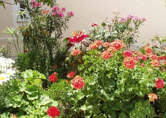 With Parking Space Povljana, Pag - 228 Apartman